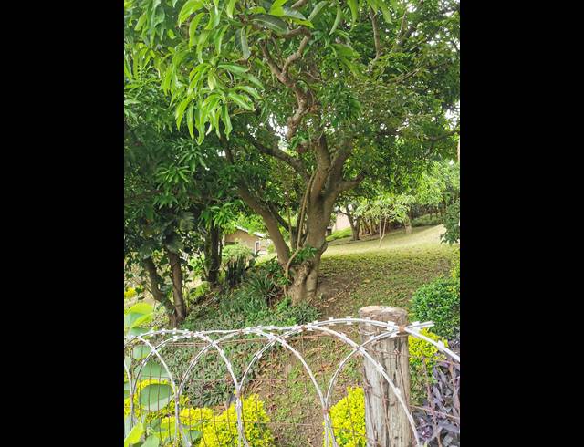 625M² VACANT LAND FOR SALE IN SEA COW LAKE